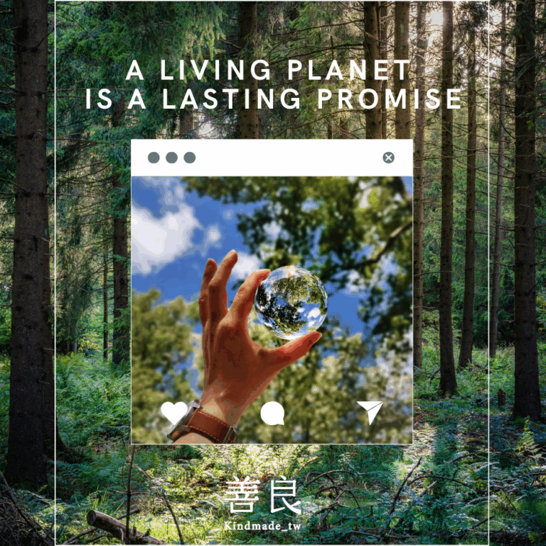 Read more about the article 從森林出發的標章｜認識 FSC，走向未來的信任標誌